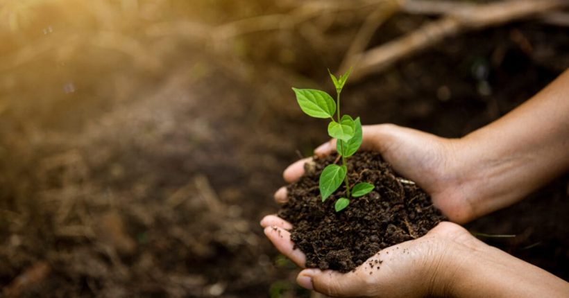 Environmental-Science-vs.-Ecology-2-scaled-1-scaled-1