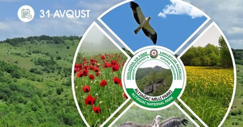 539292317_1189671973203925_4515295404710414403_n