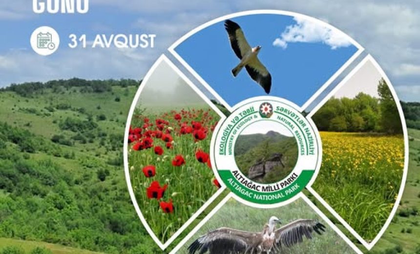 539292317_1189671973203925_4515295404710414403_n