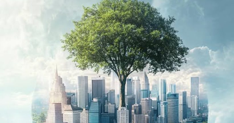 541057733_1188052733365849_6373556189091043660_n