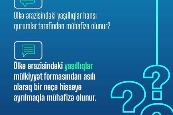 548540183_1203502878487501_464957393797004900_n